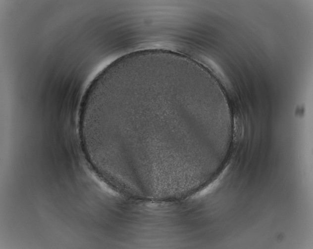 X0000092210780200709281022