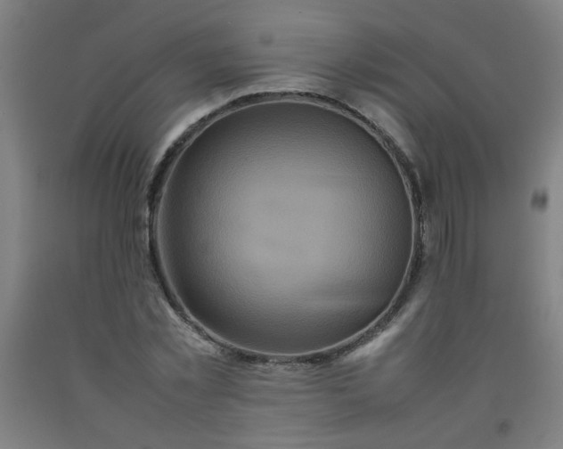 X0000092210781200709281022