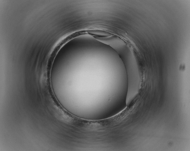 X0000092210784200709281022