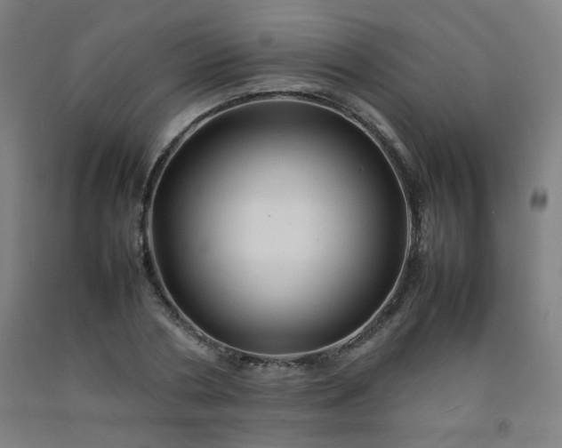 X0000092210786200709281022