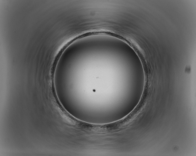 X0000092210789200709281022