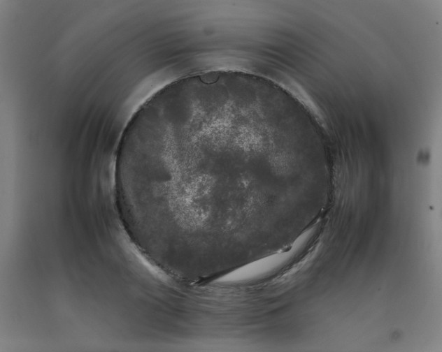 X0000092210790200709281022