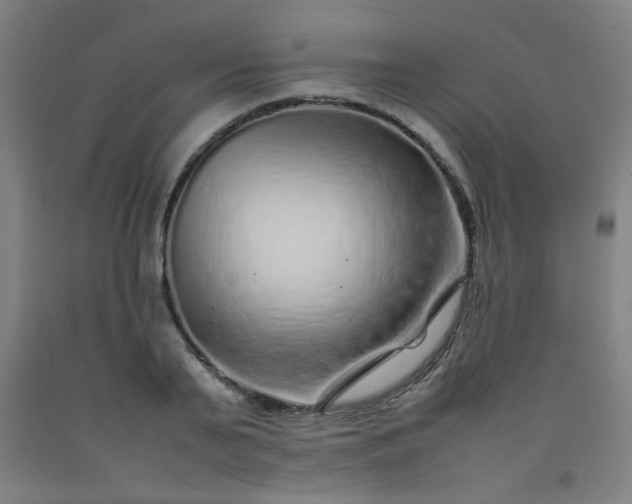 X0000092210791200709281022