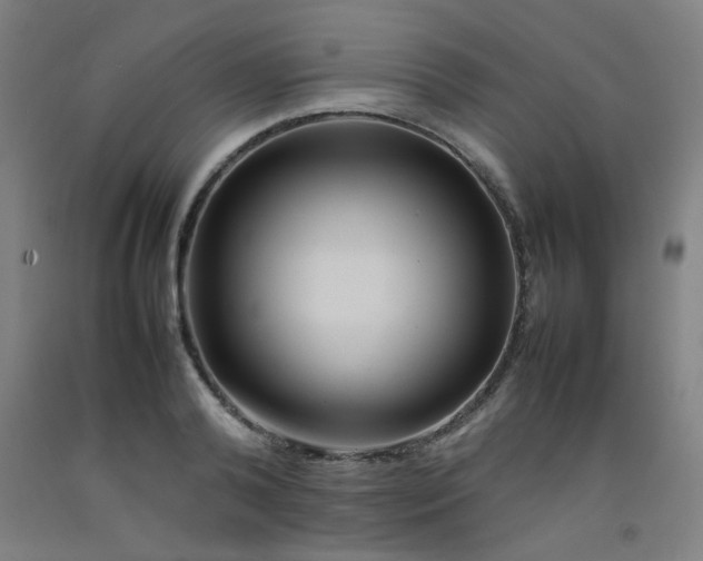 X0000092210792200709281022