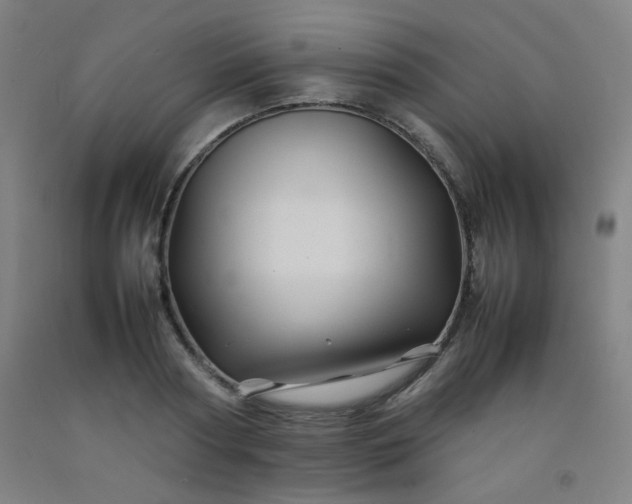 X0000092210794200709281022