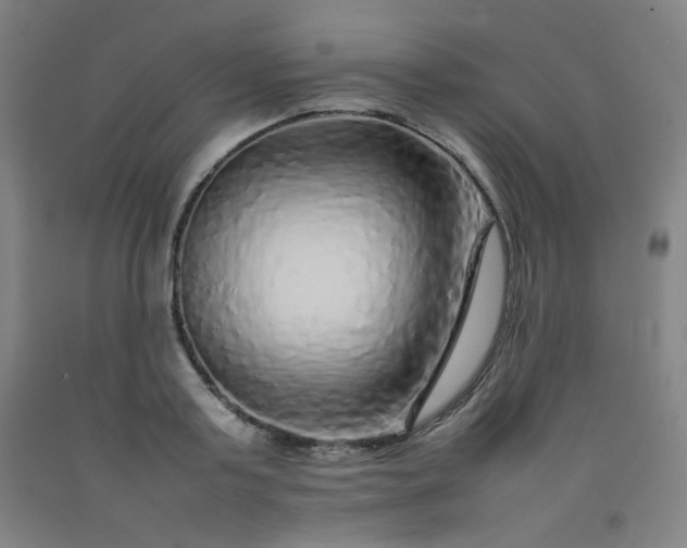 X0000092210795200709281022