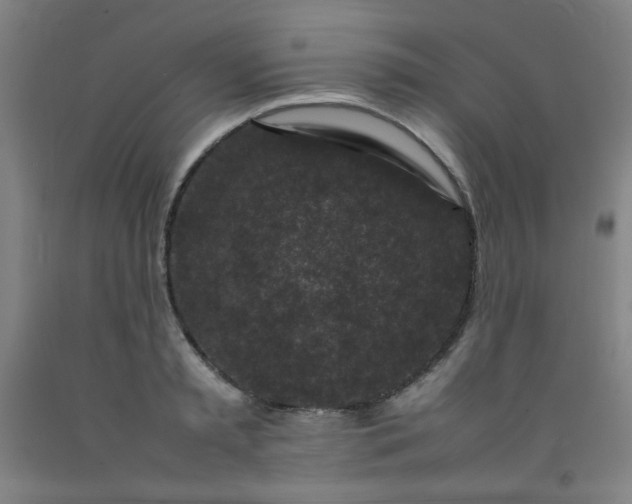 X0000092210797200709281022