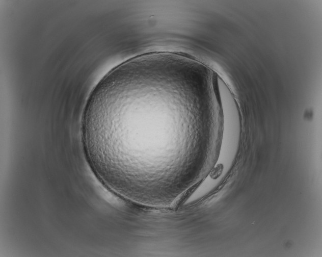 X0000092210803200709281022