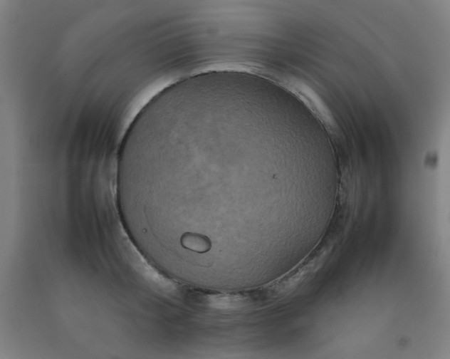 X0000092210804200709281022