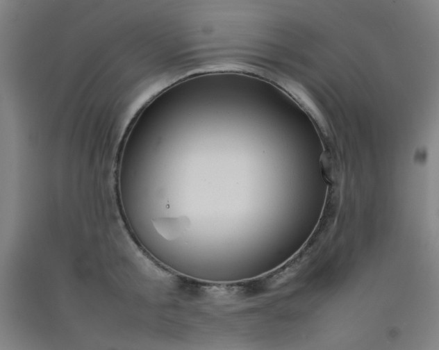 X0000092210805200709281022