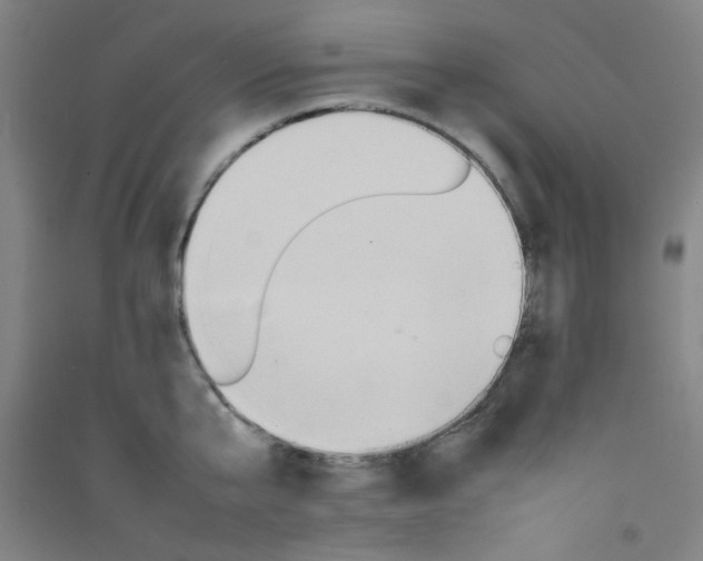 X0000092210807200709281022