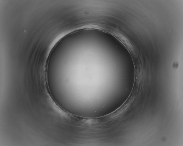 X0000092210808200709281022