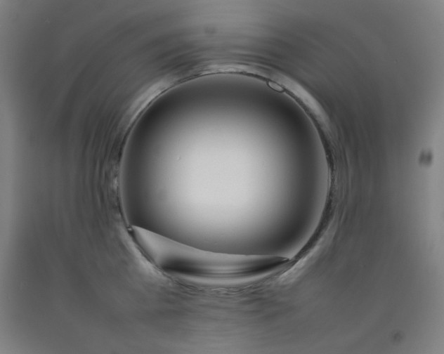 X0000092210809200709281022