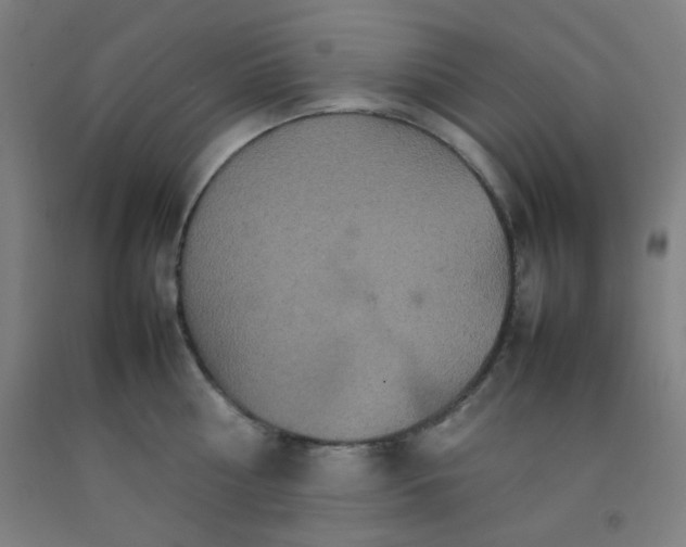 X0000092210810200709281022