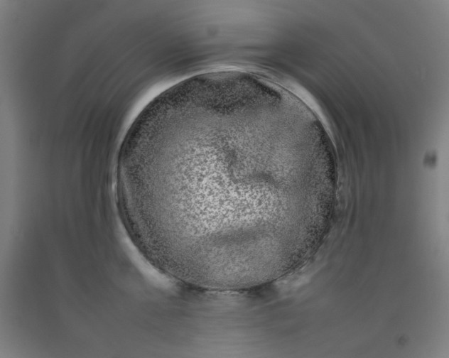 X0000092210811200709281022