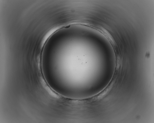 X0000092210812200709281022