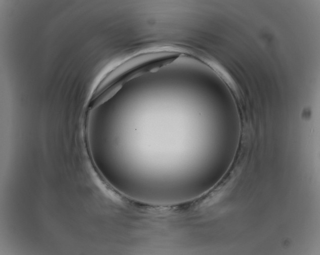 X0000092210813200709281021