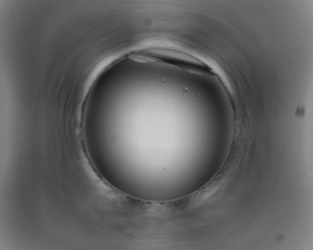 X0000092210815200709281021