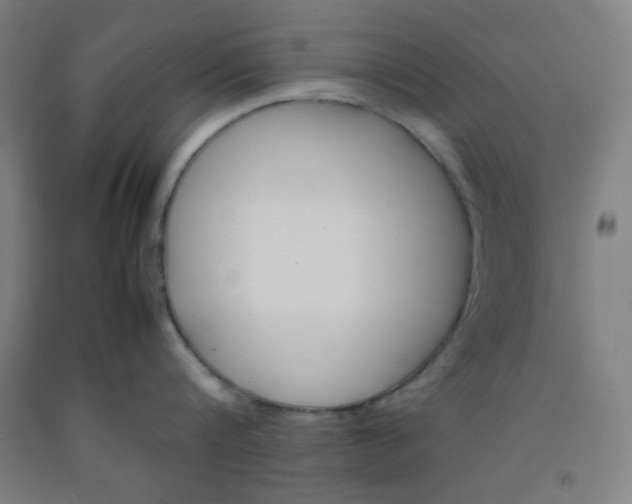 X0000092210816200709281021