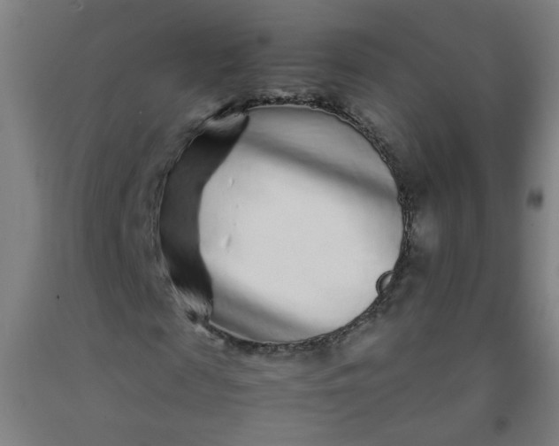 X0000092210817200709281021