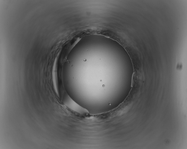 X0000092210818200709281021