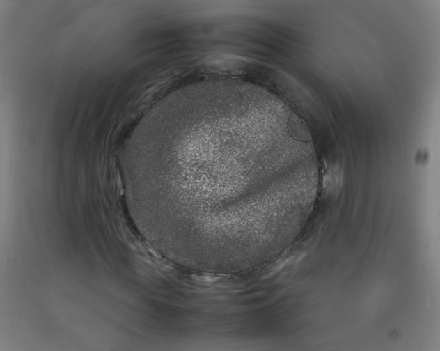 X0000092210819200709281021