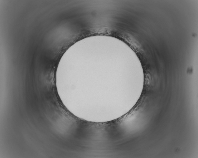 X0000092210820200709281021