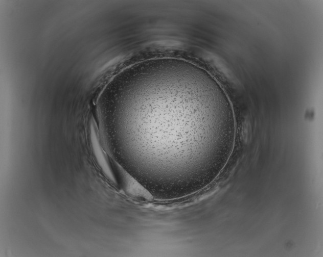 X0000092210821200709281021