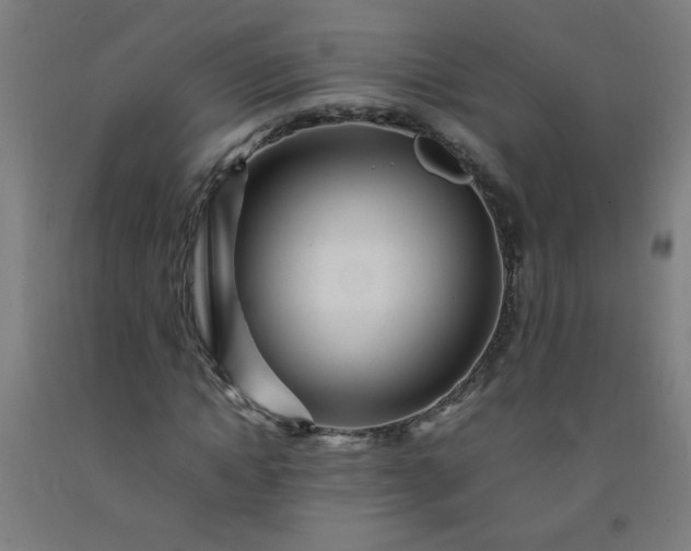 X0000092210822200709281021