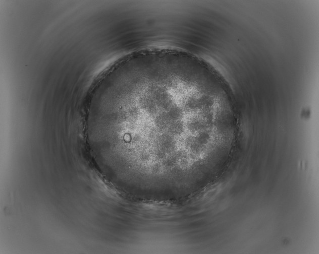 X0000092210823200709281021