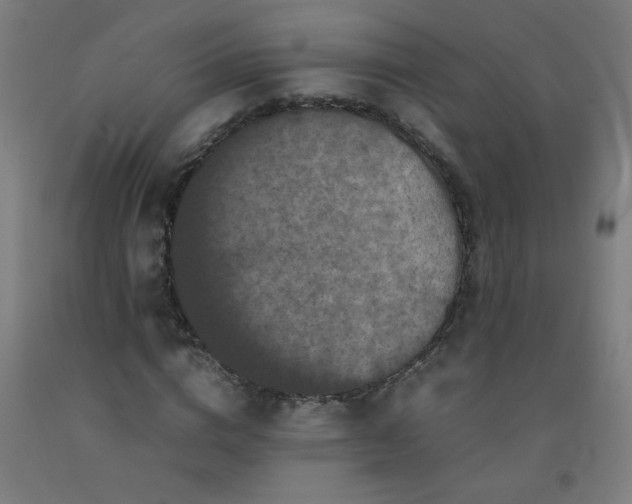 X0000092210824200709281021