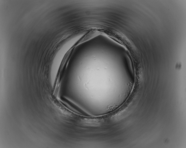 X0000092210825200709281021