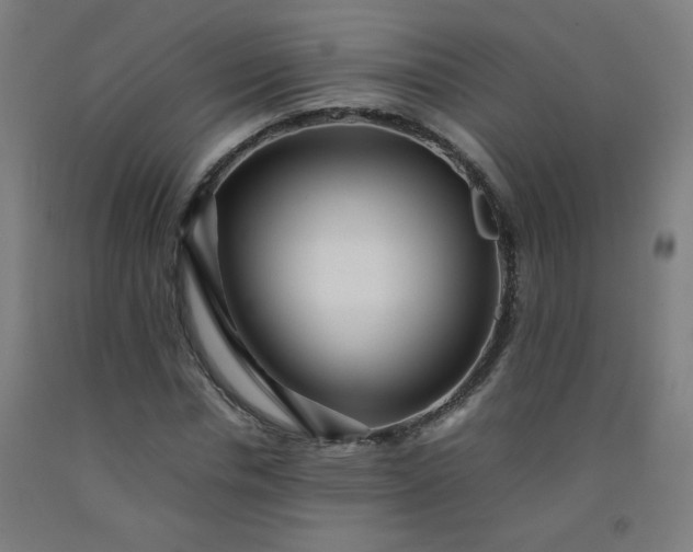 X0000092210826200709281021