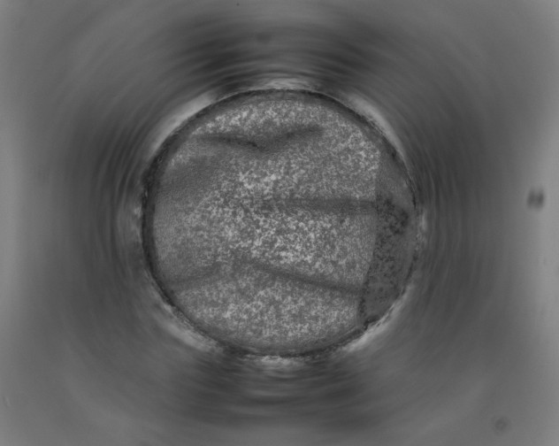 X0000092210827200709281021