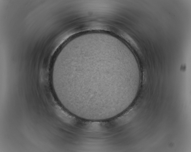 X0000092210828200709281021