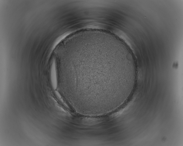 X0000092210829200709281021