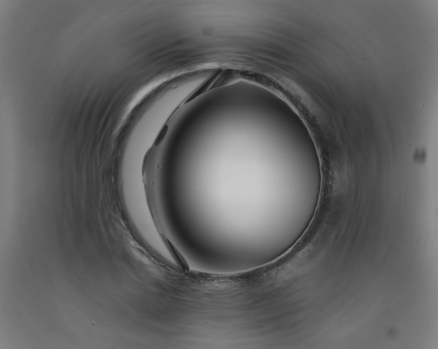 X0000092210830200709281021