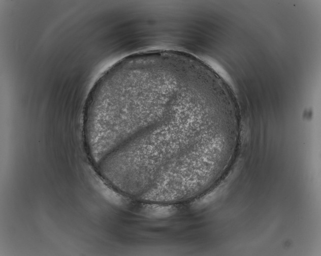 X0000092210831200709281021