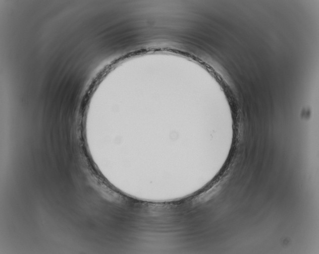 X0000092210832200709281021