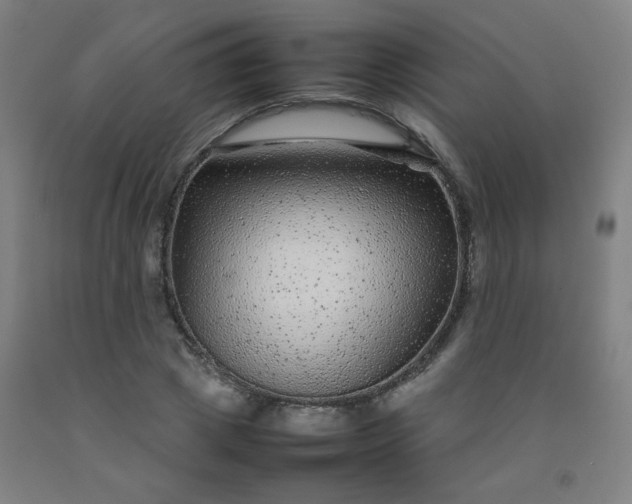 X0000092210833200709281021