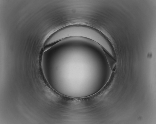 X0000092210834200709281021