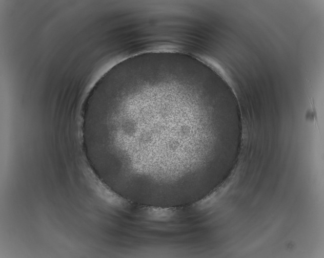 X0000092210835200709281021