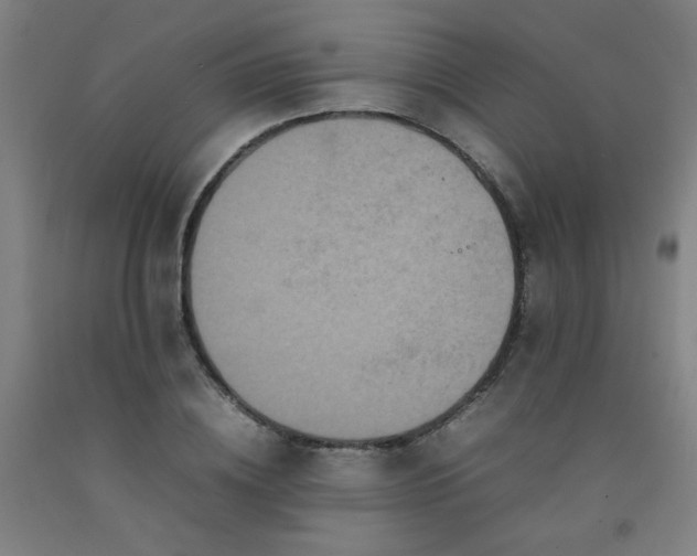 X0000092210836200709281021