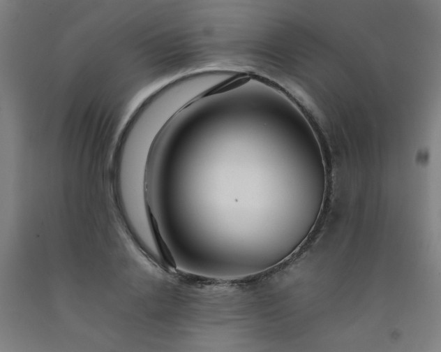 X0000092210838200709281021