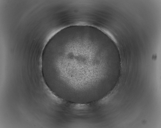 X0000092210839200709281021