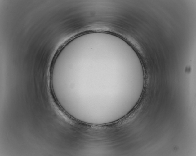 X0000092210840200709281021