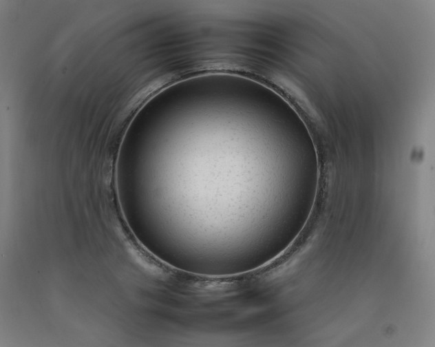 X0000092210841200709281021