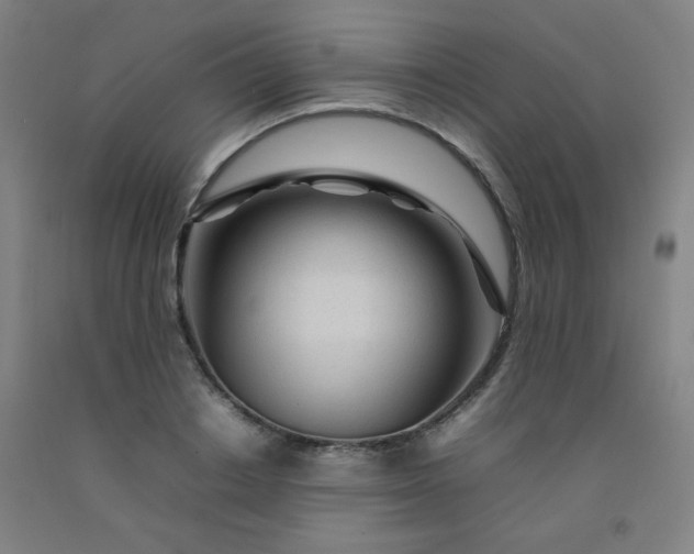 X0000092210842200709281021