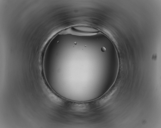 X0000092210843200709281021