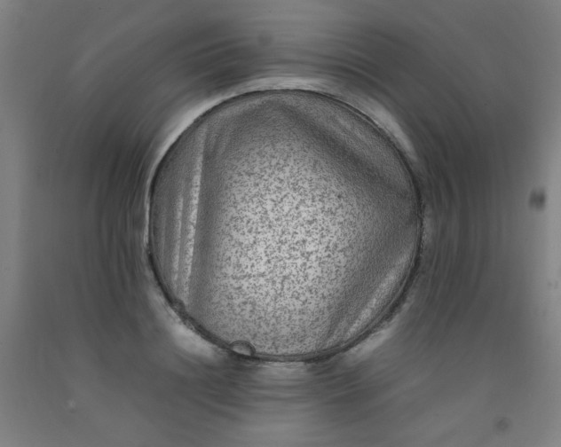 X0000092210844200709281021